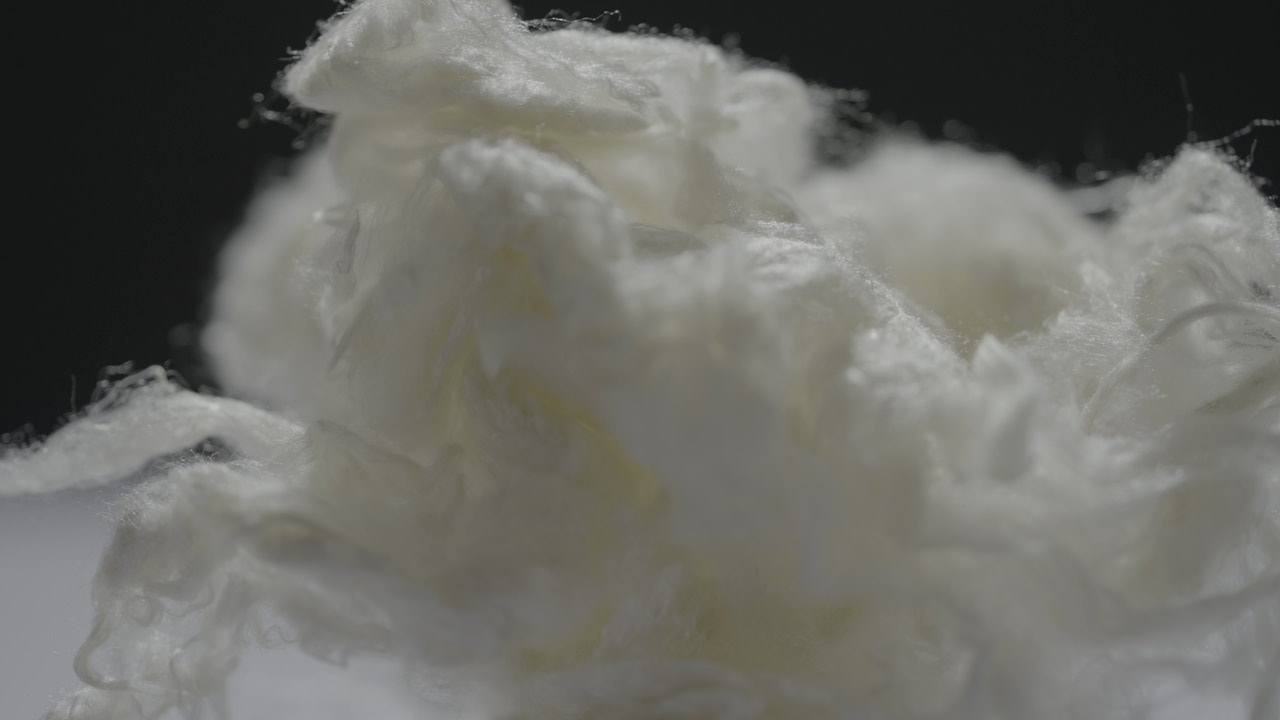 维多利亚老品牌vic3308(中国)股份有限公司
