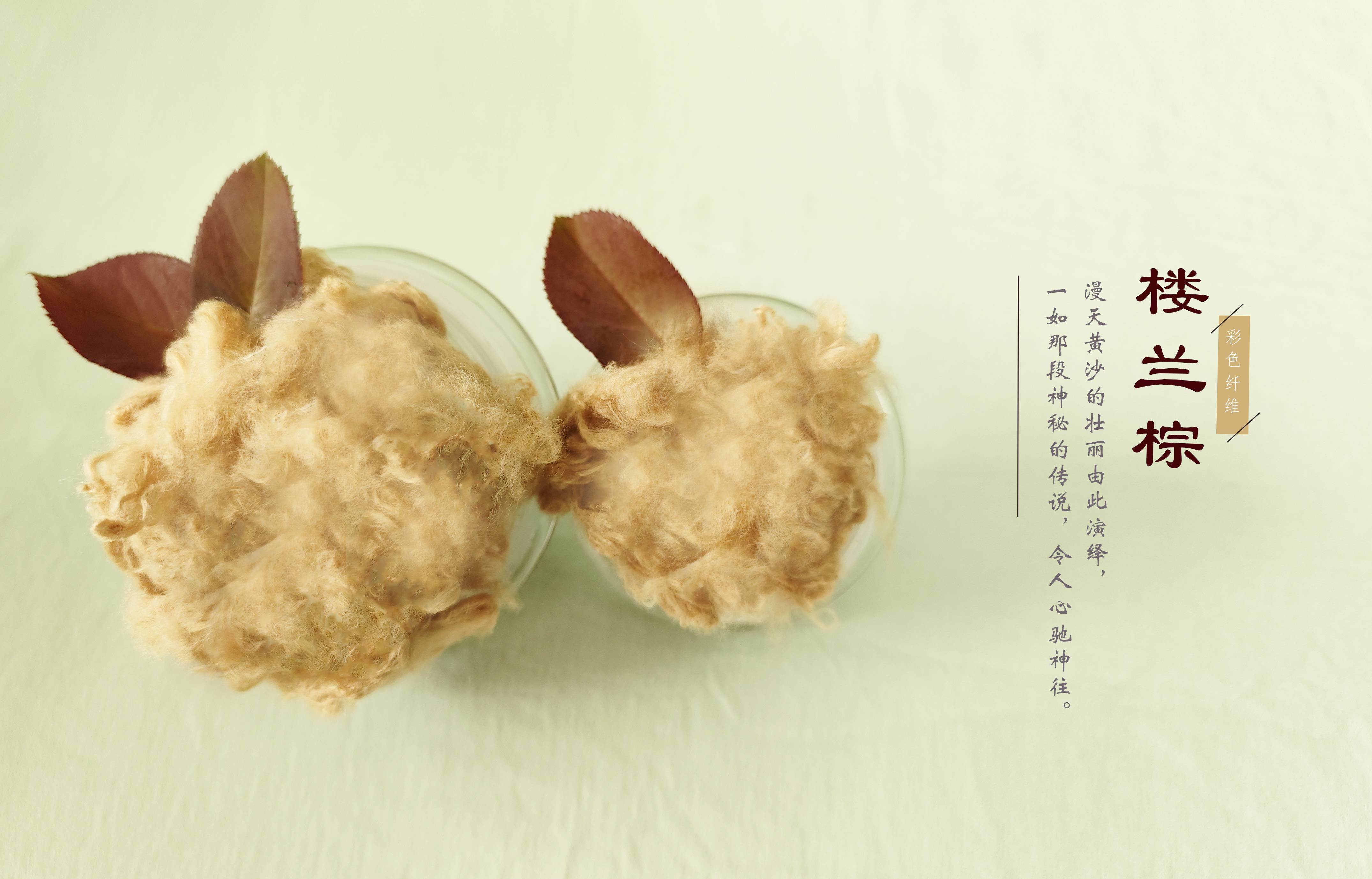 维多利亚老品牌vic3308(中国)股份有限公司
